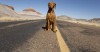 How quickly can your vehicle stop? Five brake warning signs